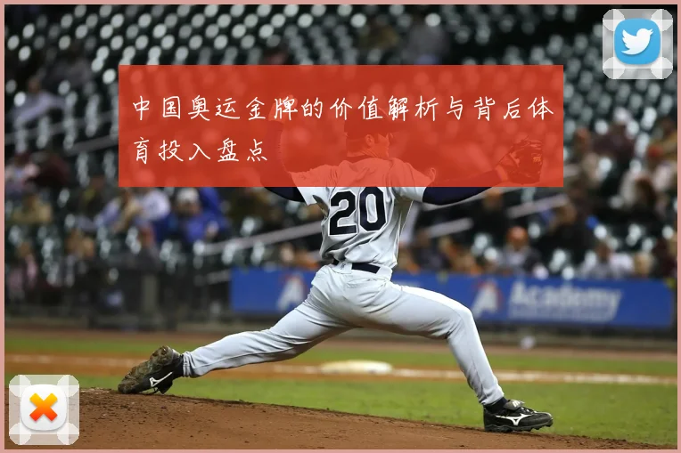 中国奥运金牌的价值解析与背后体育投入盘点